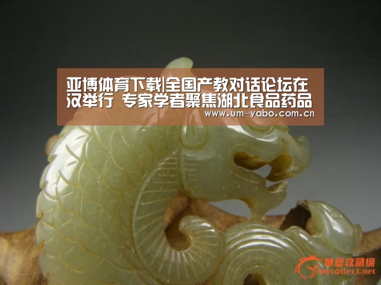 亚博体育下载|全国产教对话论坛在汉举行 专家学者聚焦湖北食品药品职业教育(图1) 亚博官网