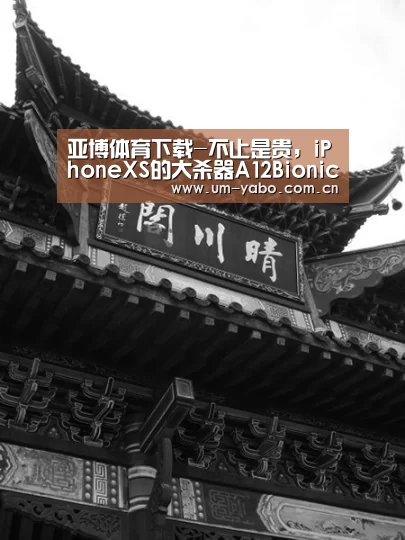亚博体育下载-不止是贵,iPhoneXS的大杀器A12Bionic透露了苹果正在布的“一盘棋”#天猫首发(图1) 亚博体育